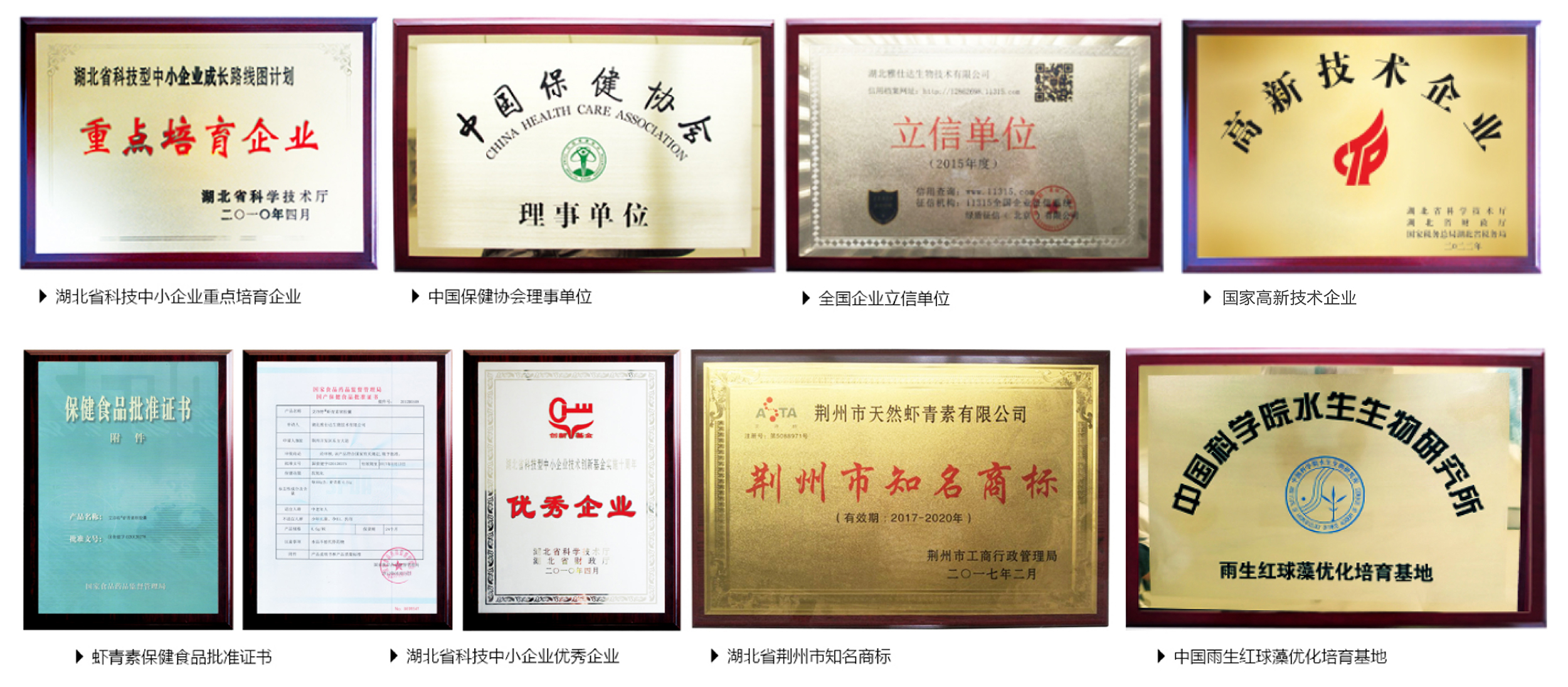 艾詩(shī)特蝦青素