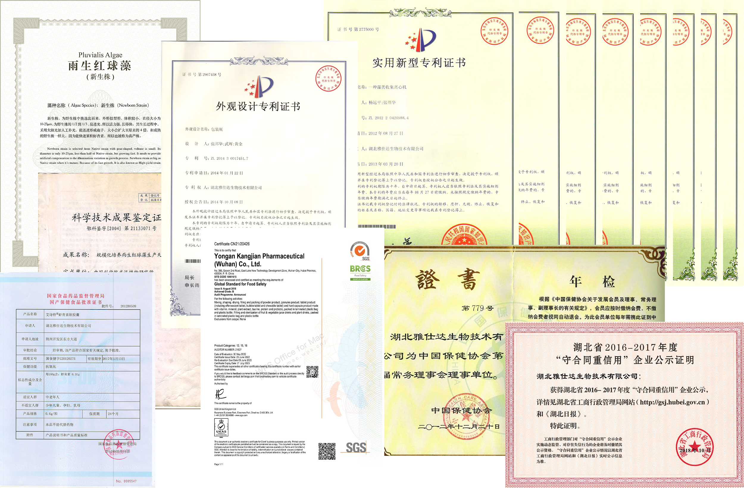 艾詩(shī)特蝦青素