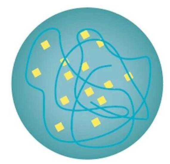 艾詩(shī)特蝦青素