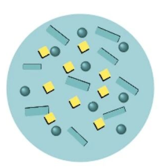 艾詩(shī)特蝦青素