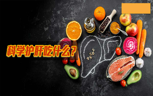 科學護肝吃什么？