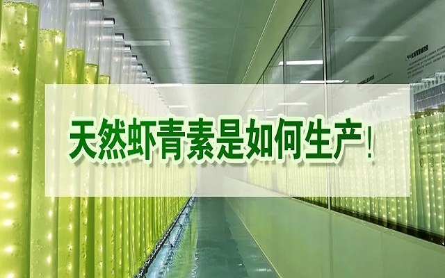 天然蝦青素是如何生產？走進源頭工廠看一看！