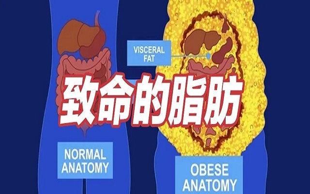 這種致命的脂肪，你可能正在瘋狂囤積！1分鐘自測!